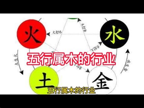 屬木 職業|五行屬木？這些工作最適合